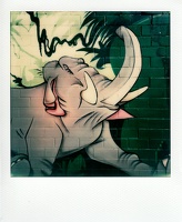 Street Art