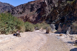  Wadi Ghuweir