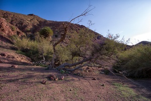 Wadi Dana