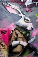 Street Art