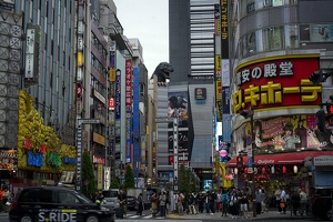 Godzilla Road