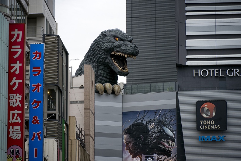 01 - Tokyo - 02 - Shinjuku 03.jpg