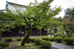 Gotoku Ji