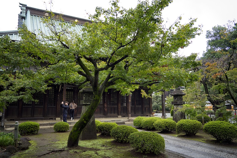 01 - Tokyo - 11 - Gotoku Ji 03.jpg