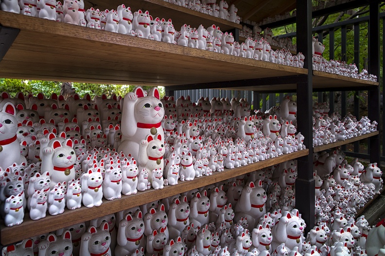 01 - Tokyo - 11 - Gotoku Ji 11.jpg