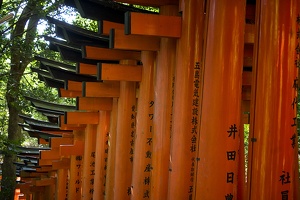 Fushimi Inari