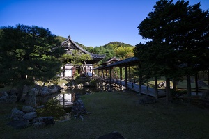 Kodai Ji