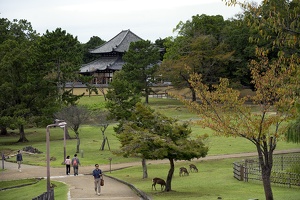 Nara