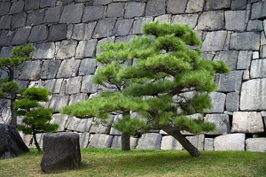 Osaka Castle