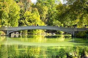 Central Park