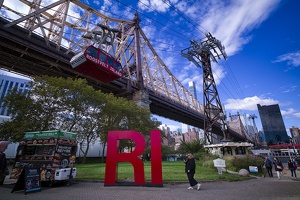 Roosevelt Island