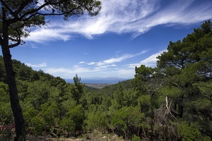 Ranger Hut View