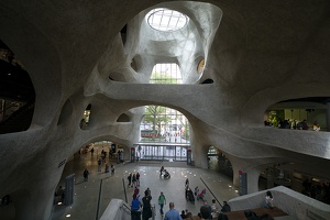American Museum of Natural History