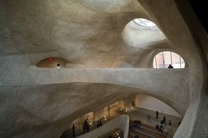 American Museum of Natural History