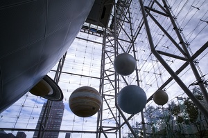 American Museum of Natural History