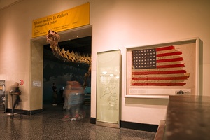 American Museum of Natural History