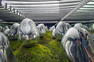 TeamLab Planets