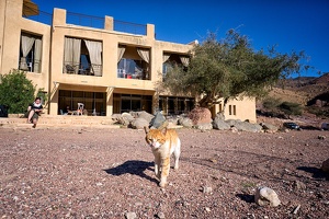 Feynan Eco Lodge
