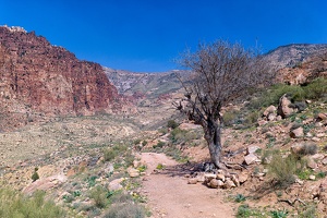 Wadi Dana