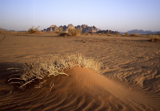 Wadi Rum
