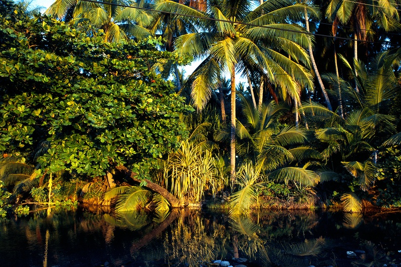 Costa Rica 09.jpg
