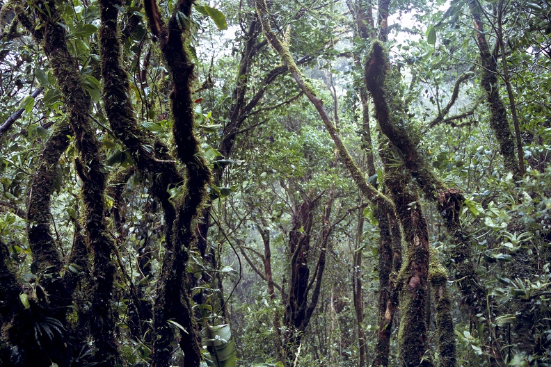 Costa Rica 23.jpg