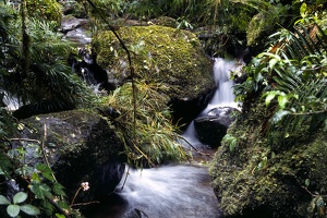 Costa Rica
