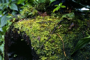 Costa Rica