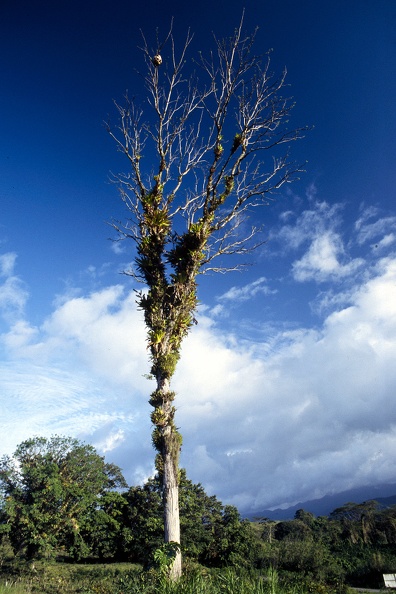 Costa Rica 39.jpg
